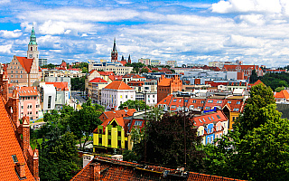 Olsztyn się zazieleni. W mieście przybędzie drzew i krzewów